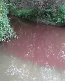 Река Струма потече червена