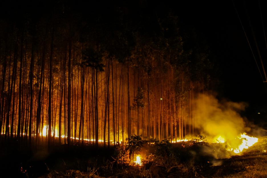 Неочаквани глобални последици от пожарите в Амазония 