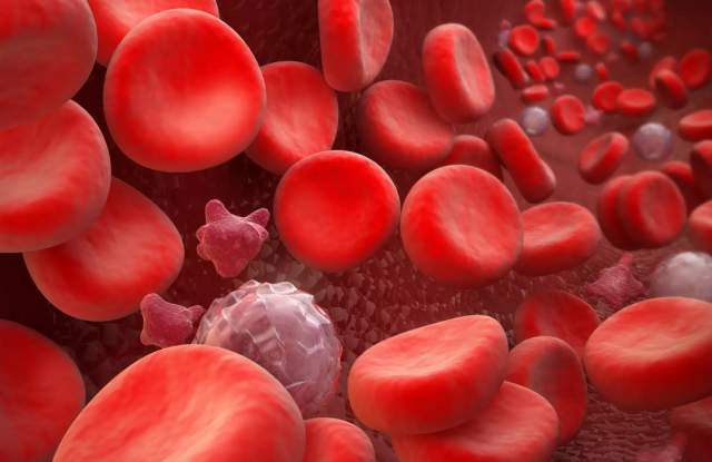 Това е най-опасната кръвна група, установиха учени от Харвард