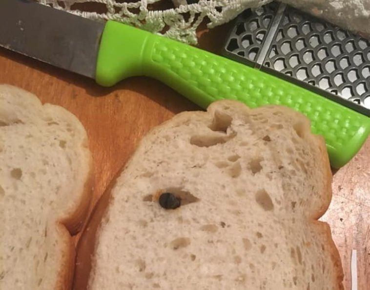Жена от Белослав попадна на нещо много опасно в хляб СНИМКИ 