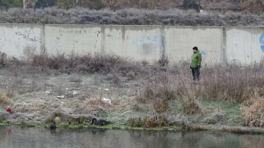 Кръвожаден убиец на лебеди избягна нощна хайка в Благоевград СНИМКИ