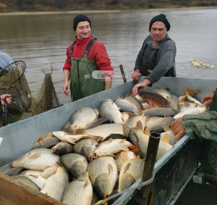 Рибари тръгнаха да вадят шарани до Карлово и хванаха цяло чудовище СНИМКИ