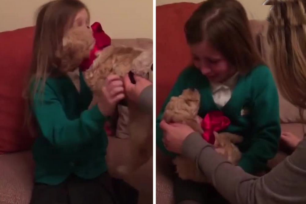 Трогателната реакция на момиче към подарено кученце ще разтопи всяко сърце ВИДЕО