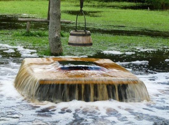 Изумителен феномен - от дърво извира вода СНИМКИ