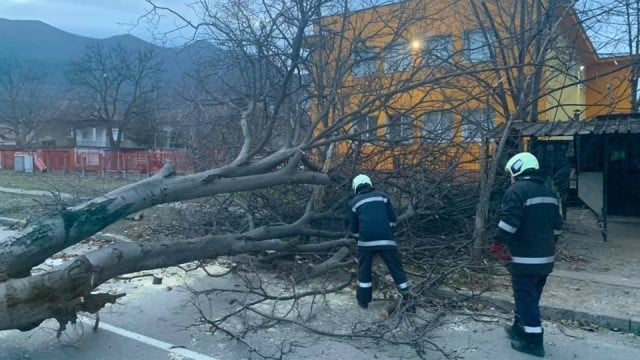 Как се възстановява Враца след свирепата буря