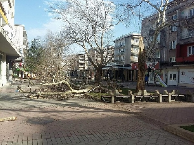 Как се възстановява Враца след свирепата буря