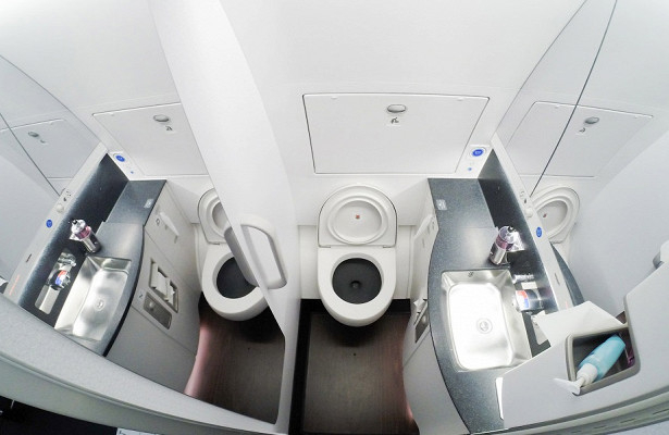 Какво означава ужасяващият звук, който се чува в тоалетните на самолетите?