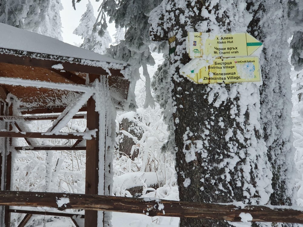 Зимата се върна с пълна сила! Сняг затрупа... СНИМКИ