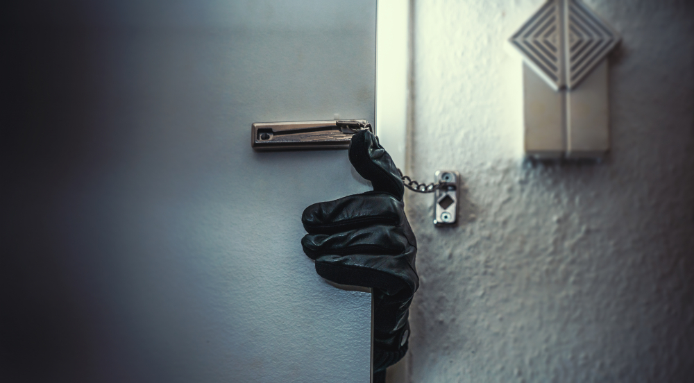 Експерт даде ценни съвети как да предпазим дома си от крадци ВИДЕО