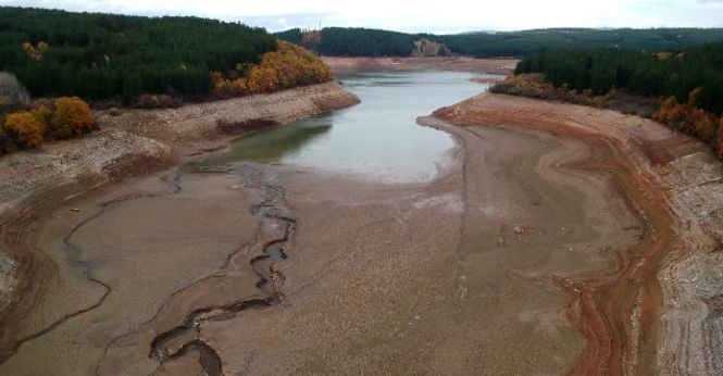 Експерти със смайващи данни за сушата в България, не е истина какво се случва?! ВИДЕО