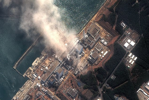 В забранената радиационна зона около АЕЦ "Фукушима" ври и кипи от живот!