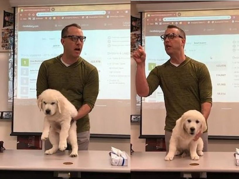 Преподавател заплаши учениците си, че ще убие това сладко кученце, ако... ВИДЕО 
