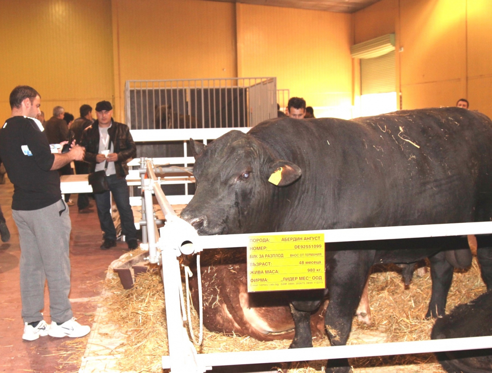 Животновъдството е новият хит на Международната селскостопанска изложба „Агра“