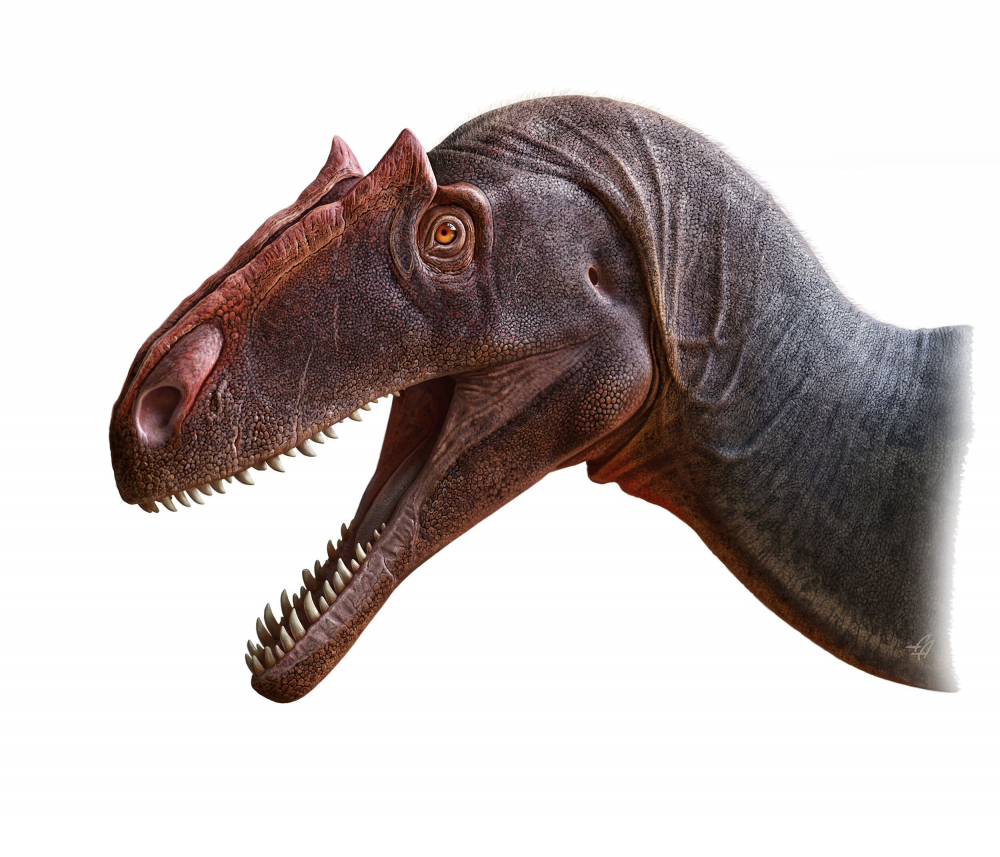 Сензация в САЩ: Откриха огромен динозавър с радиоактивен череп СНИМКИ
