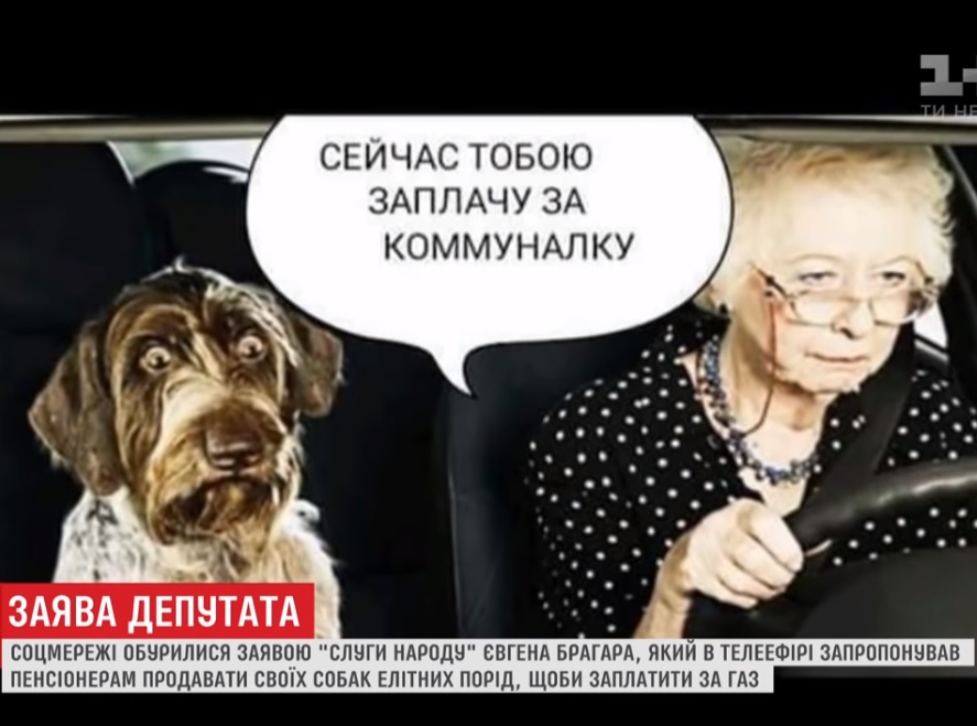 Депутат посъветва баба да продаде кучето си, за да си плати сметките ВИДЕО