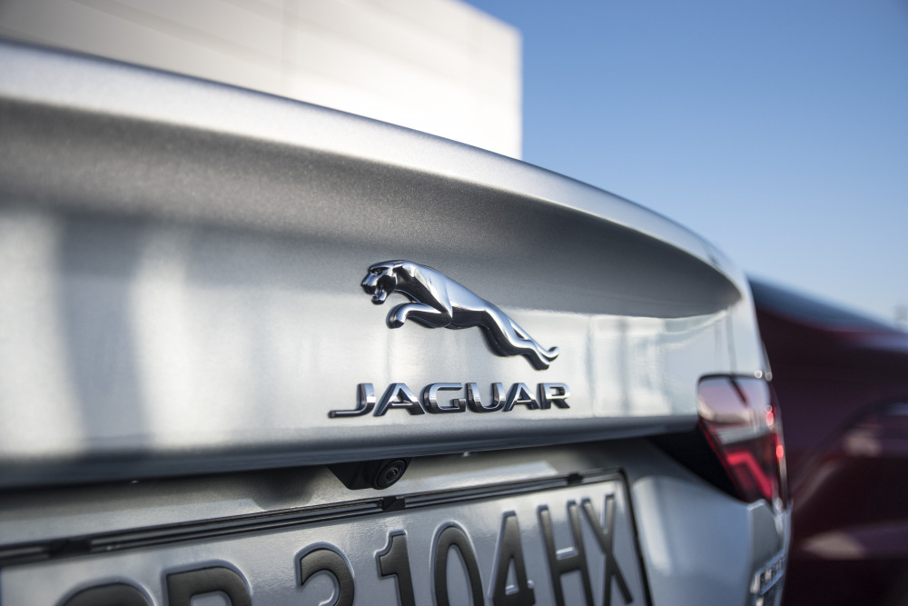 Jaguar Land Rover се впуснаха в зимно приключение