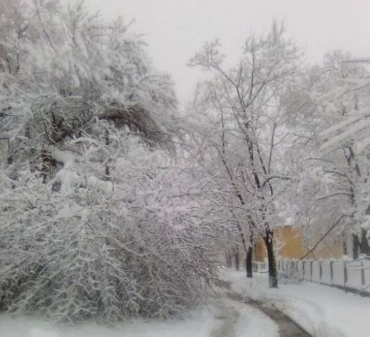 Снежната стихия блокира Враца, положението е апокалиптично СНИМКИ