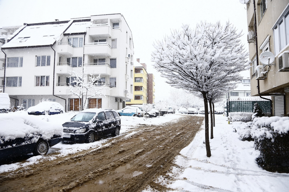 Климатологът Матев каза кога зимата ще нанесе голям снежен удар ВИДЕО
