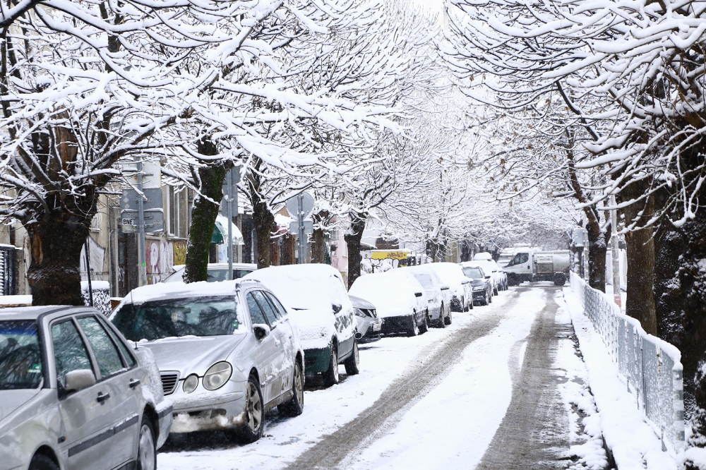 Снегът в Пловдив сътвори големи поразии