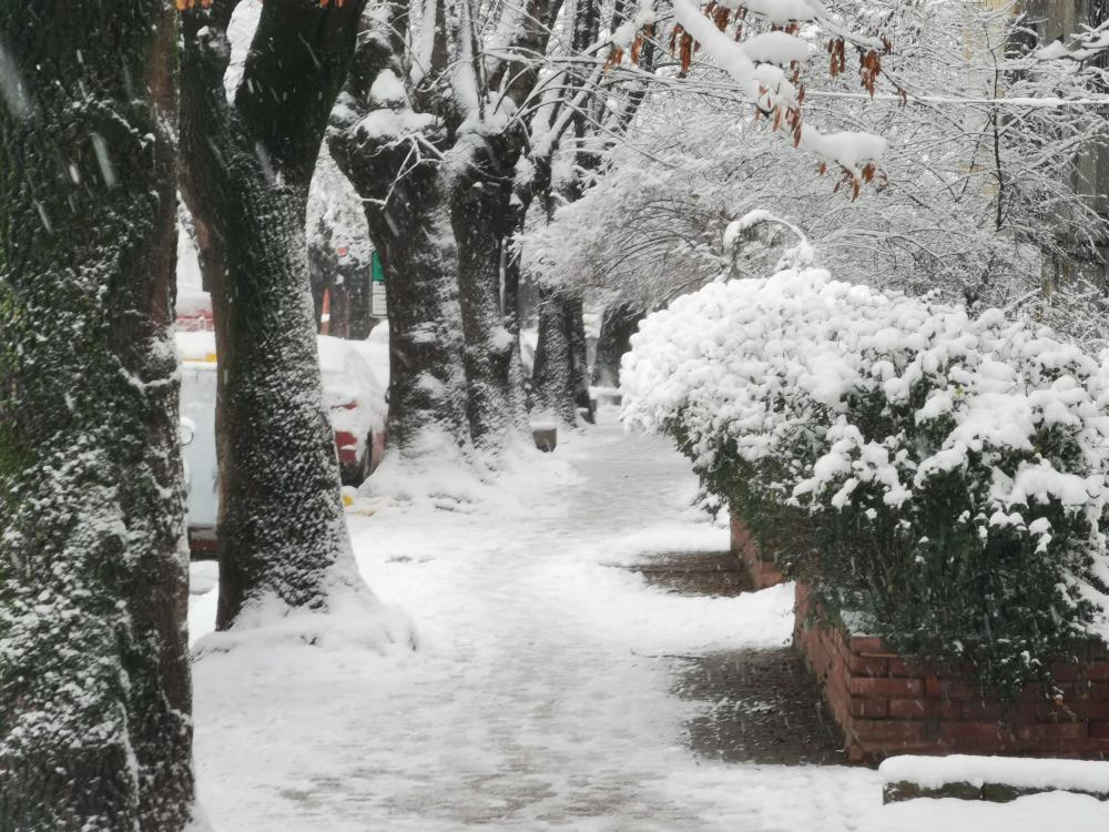 Зимата все първа жертва в Сърбия
