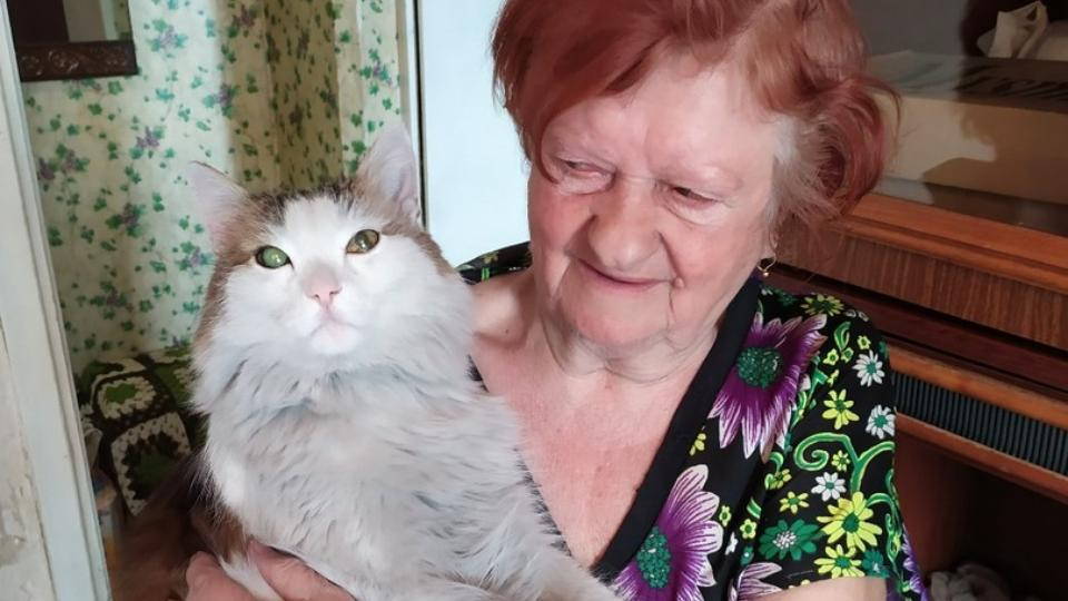 Котка ухапа стопанката си и я спаси от сигурна смърт СНИМКИ