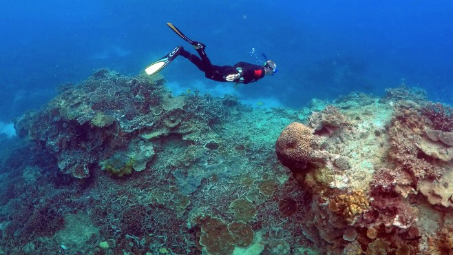 Фотограф засне нещо уникално край Големия бариерен риф СНИМКИ 