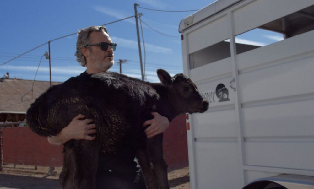 Хоакин Финикс спаси крава и телето й от кланицата ВИДЕО