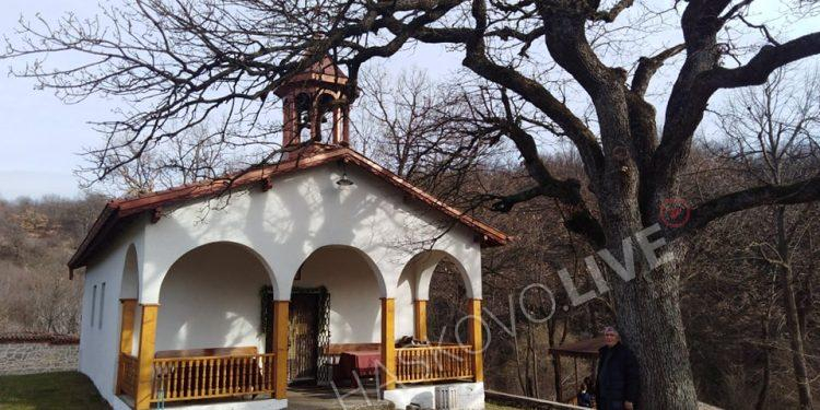 Чудотворно дърво в манастир край Хасково цери всички болести СНИМКИ 