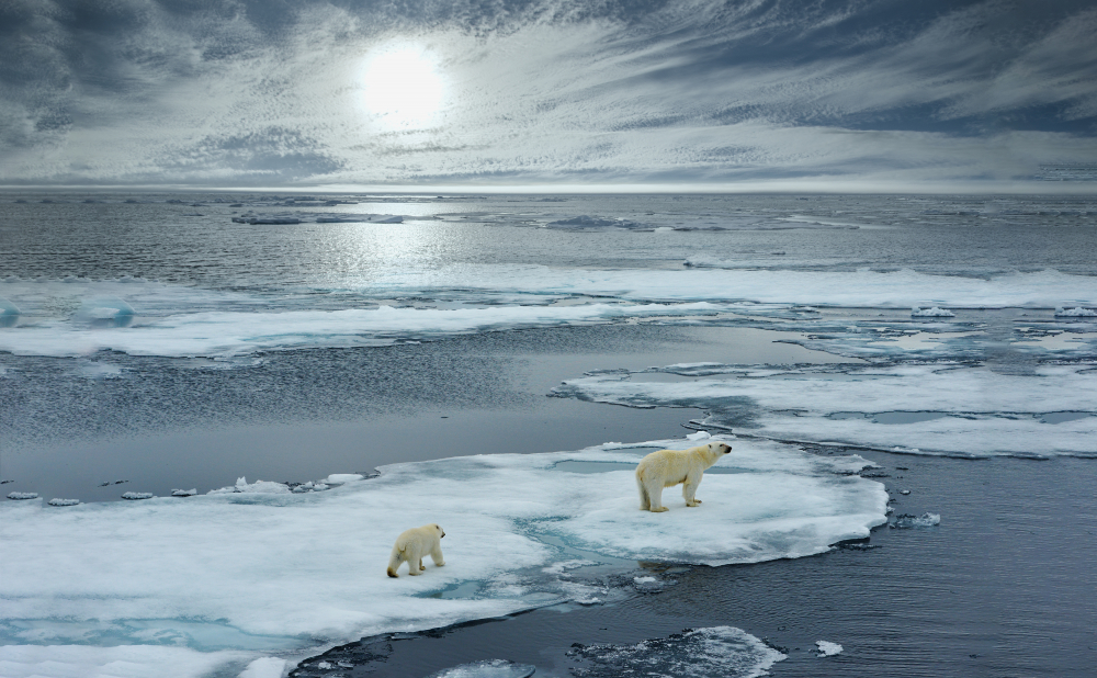 Рекордни жеги: Никога не е било по-топло на Северния полюс 