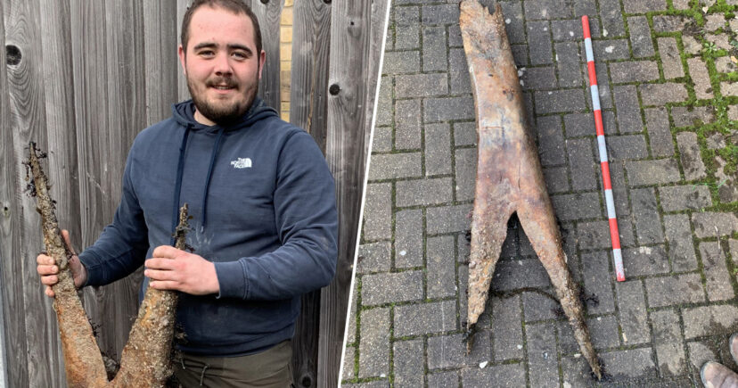 Мъж намери огромна кост на загадъчно същество СНИМКИ