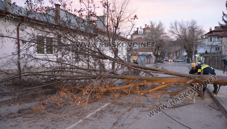 Силният вятър направи големи поразии в Хасково СНИМКИ 