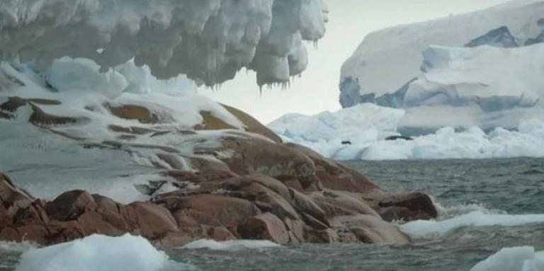Учени шокирани от това, което откриха под леда в Антарктика 