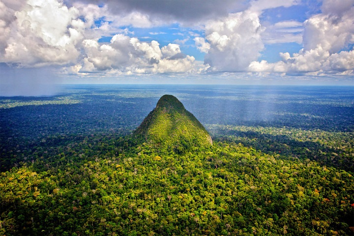 Шок: Амазонските гори ще започнат да ни убиват след 10 години 