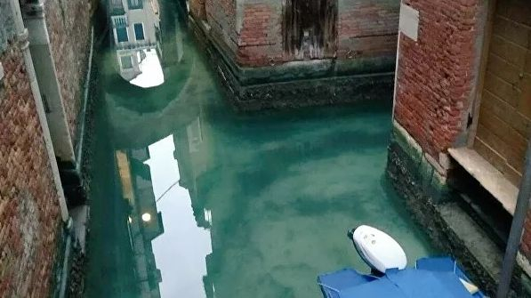 Нещо уникално се случва във Венеция заради карантината ВИДЕО