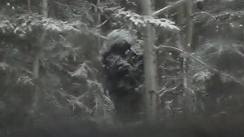 Огромен Йети бе запечатан на ВИДЕО в заснежена гора