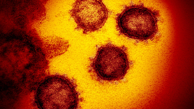 Геномът на коронавируса е напълно разшифрован в Русия