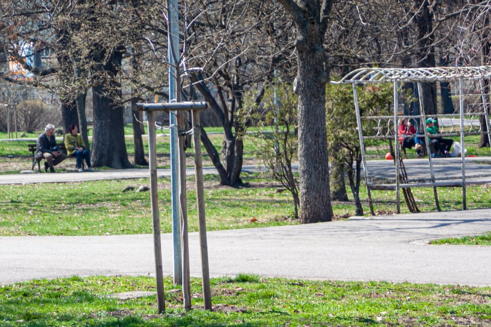 Столичани отсвириха забраните на Щаба и... СНИМКИ