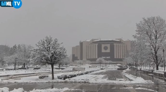 БЛИЦ TV: Невиждана гледка на бул. "Витоша" в понеделник насред COVID-19 СНИМКИ