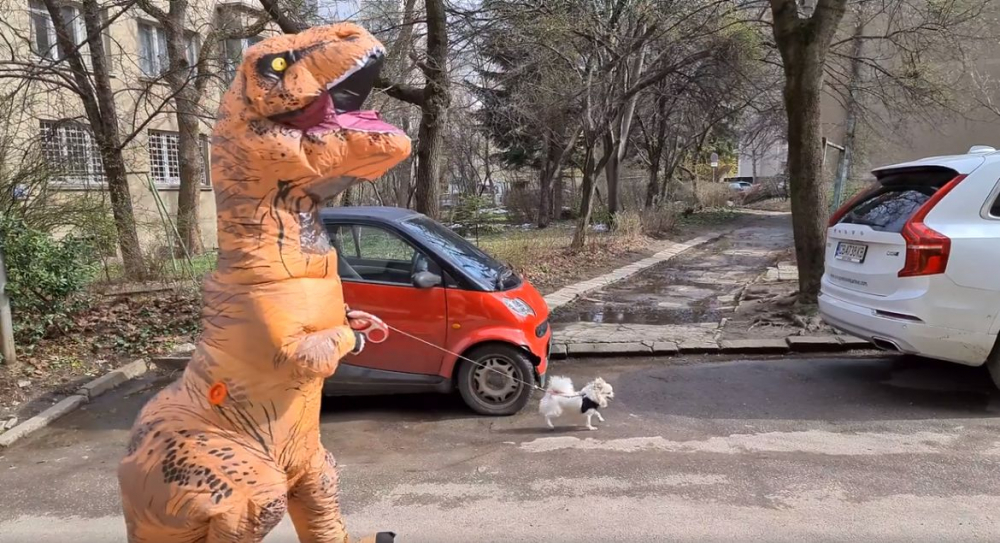 Столичанин с кученце шашардиса всички в Борисовата градина СНИМКИ