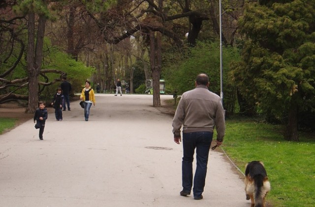 Полицейски шеф във Варна сдъвка тарикатите, разхождащи кучета при карантина 