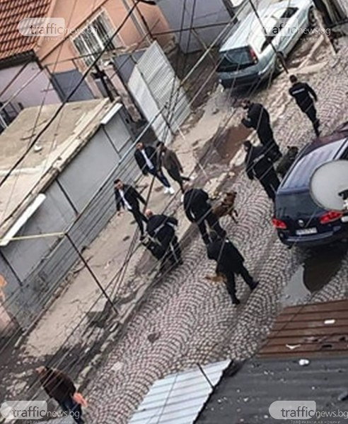 Страшен екшън в Столипиново: Спецченгета с кучета щурмуваха махалата заради... ВИДЕО  