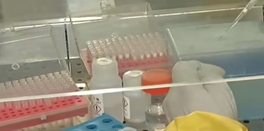 Заработи първата в Северна България PCR лаборатория за коронавирус 