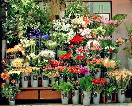 Нагъл тип обра магазина с безплатните цветя в София ВИДЕО 