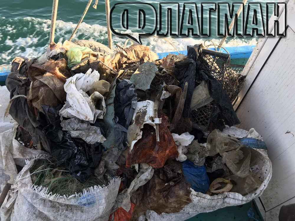 Рибари от Несебър извадиха ужасяващи твари от Черно море ВИДЕО 