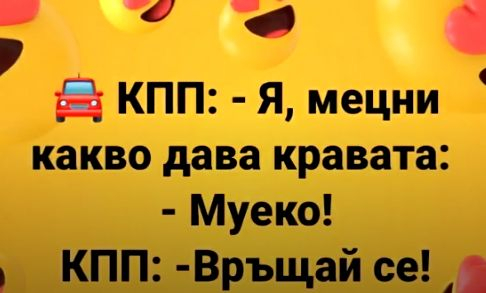 Мрежата избухна с култови номера за пробиване на софийската блокада СНИМКИ 