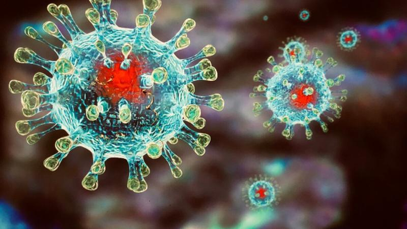 Френските учени разбиха митовете за имунитета от коронавирус