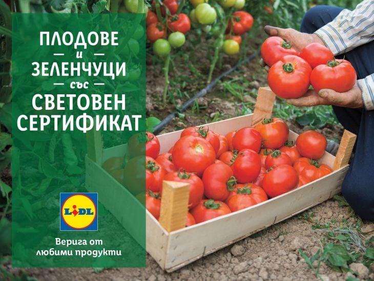 В подкрепа на родното производство Lidl предлага 100 % български розови домати и био краставици в цялата верига магазини