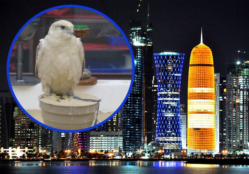 Мол за соколи в Доха