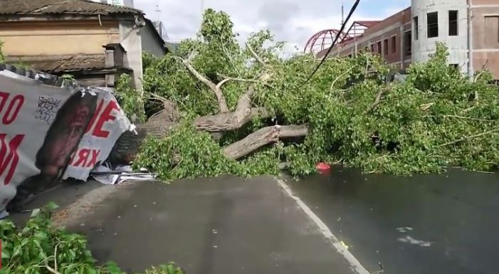 Страшна гледка! Ураган подмята хора, дървета и покриви в Екатеринбург, има жертви ВИДЕО