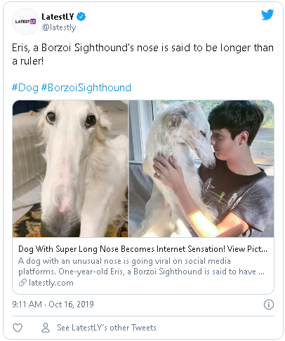 Куче с ужасно дълъг нос стана хит в мрежата ВИДЕО